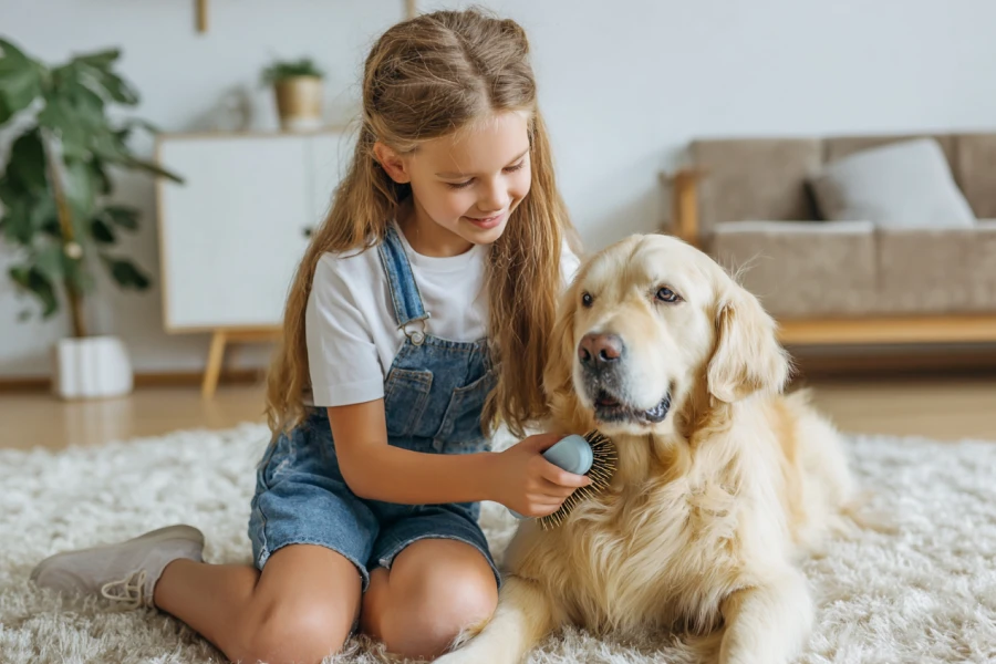 Year-Round Dog Care Tips