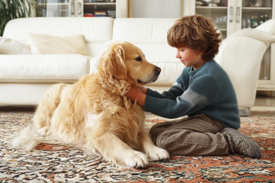 Structured Routine for Dogs